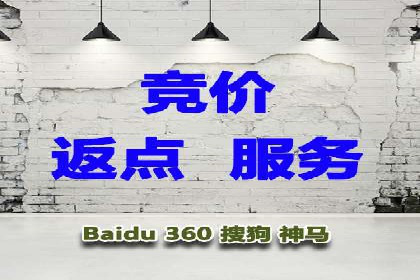 如何利用百度竞价代理：真实案例分析